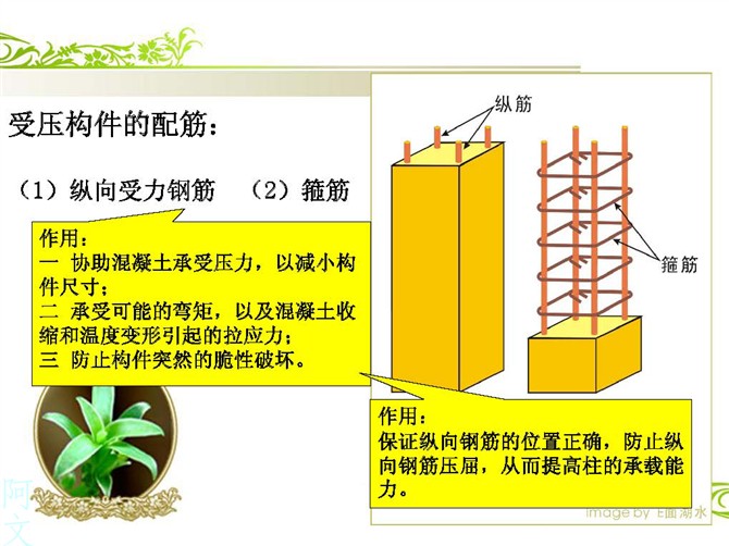 快速读懂钢筋配筋图-受压构件的配筋