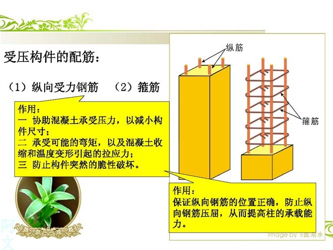 快速读懂钢筋配筋图-受压构件的配筋