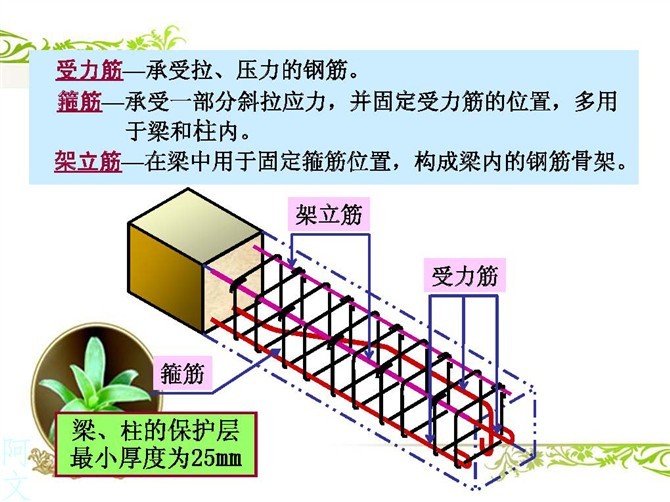 快速读懂钢筋配筋图-梁柱受力筋、箍筋及架立筋