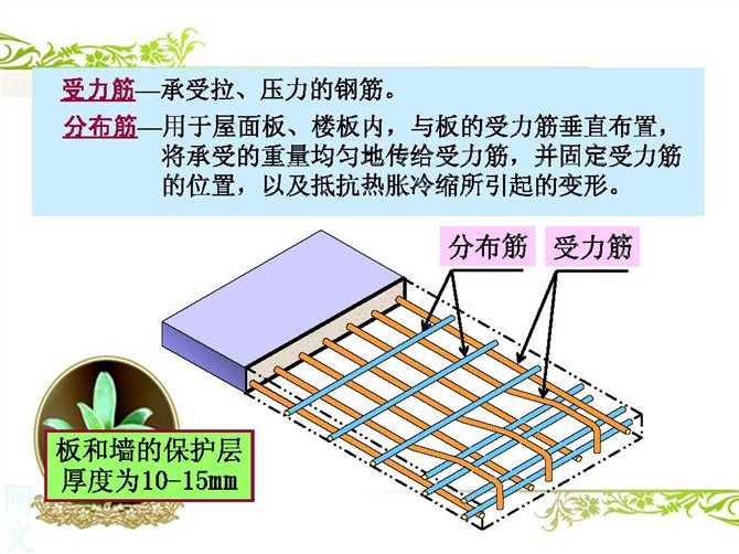 快速读懂钢筋配筋图-分布筋和受力筋