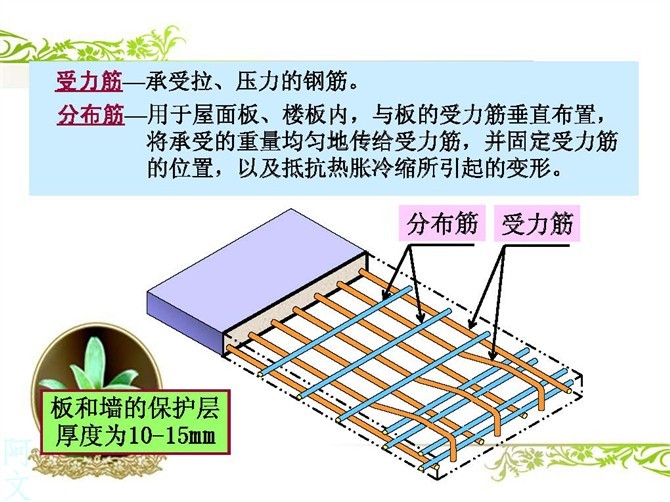 快速读懂钢筋配筋图-分布筋和受力筋