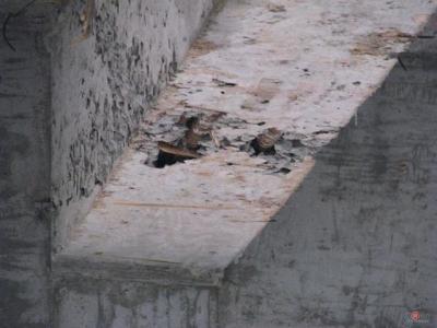 混凝土工程外观弊病及处理办法