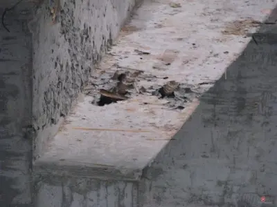 混凝土工程外观弊病及处理办法