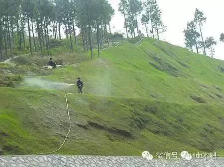 液压喷播植草护坡