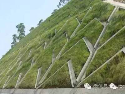 五种常见生态边坡支护形式
