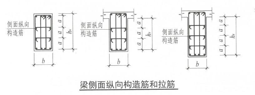 钢筋基础知识学习