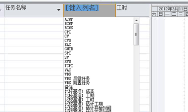 Microsoft Project 2010 (附密钥) 中文破解版