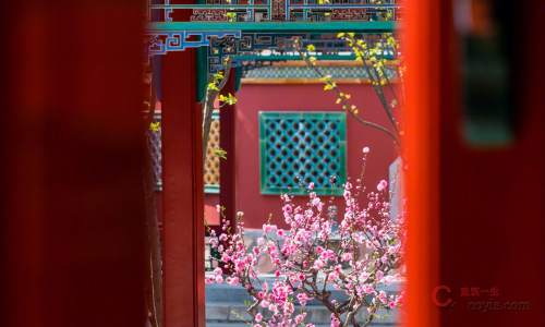 故宫的桃花