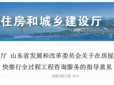 政府投资和国有资金投资的项目原则上实行全过程工程咨询服务，山东省发文明确！