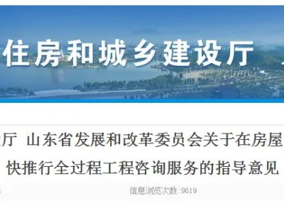 政府投资和国有资金投资的项目原则上实行全过程工程咨询服务,山东省发文明确!