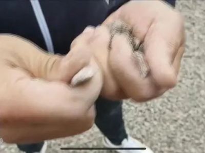 高速公路砂石料一掰就碎！供应商: 这个便宜!