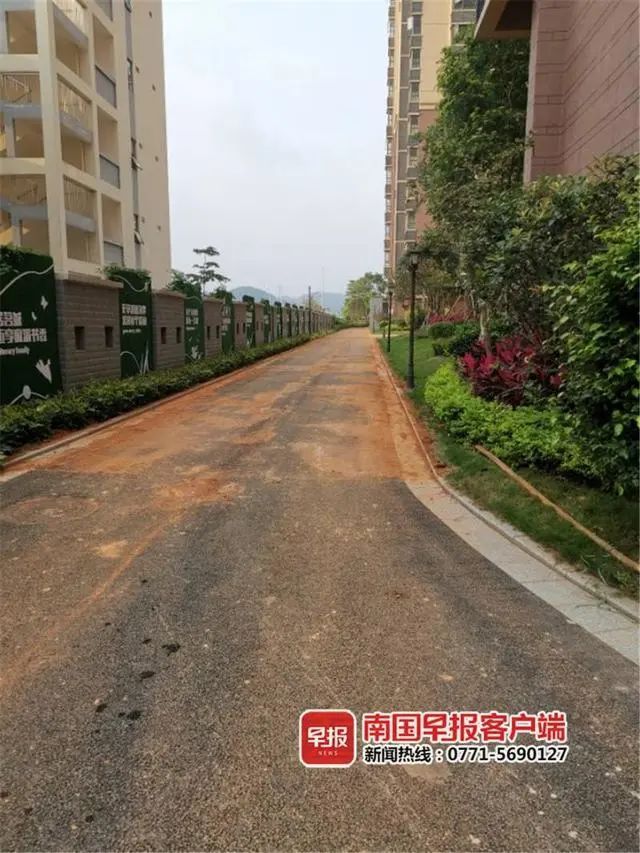 南宁一小区在塑料布上铺草皮，绿化验收后连夜铲掉