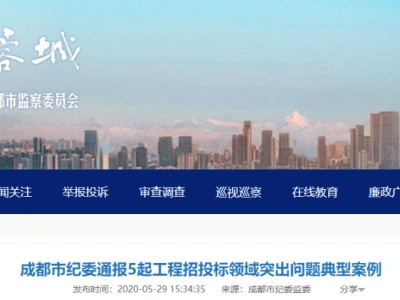 虚假招标、透露底价，2人被移送司法机关！“27条”标准认定围标串标！