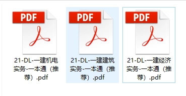 2021年版 DL一级建造师《各科》一本通