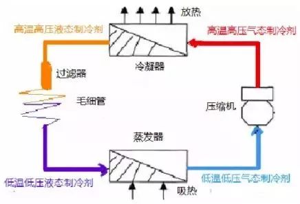 各种压缩机的动态原理图