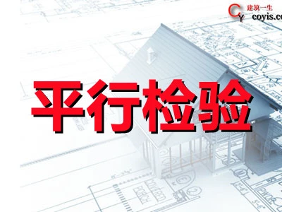 平行检验细则