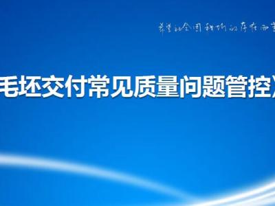 碧桂园毛坯交付常见质量问题管控,132页可下载