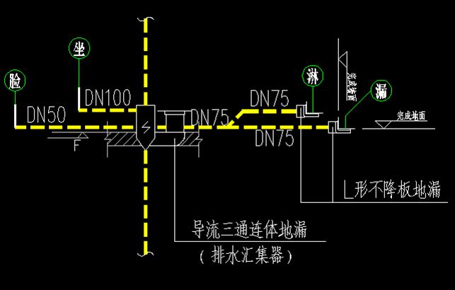 不降板照样做同层排水！