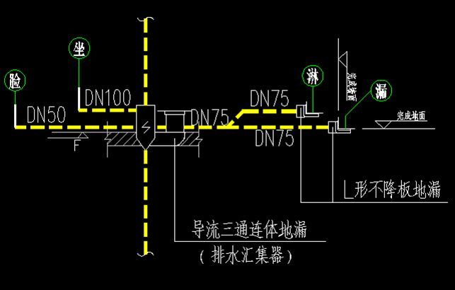 不降板照样做同层排水！