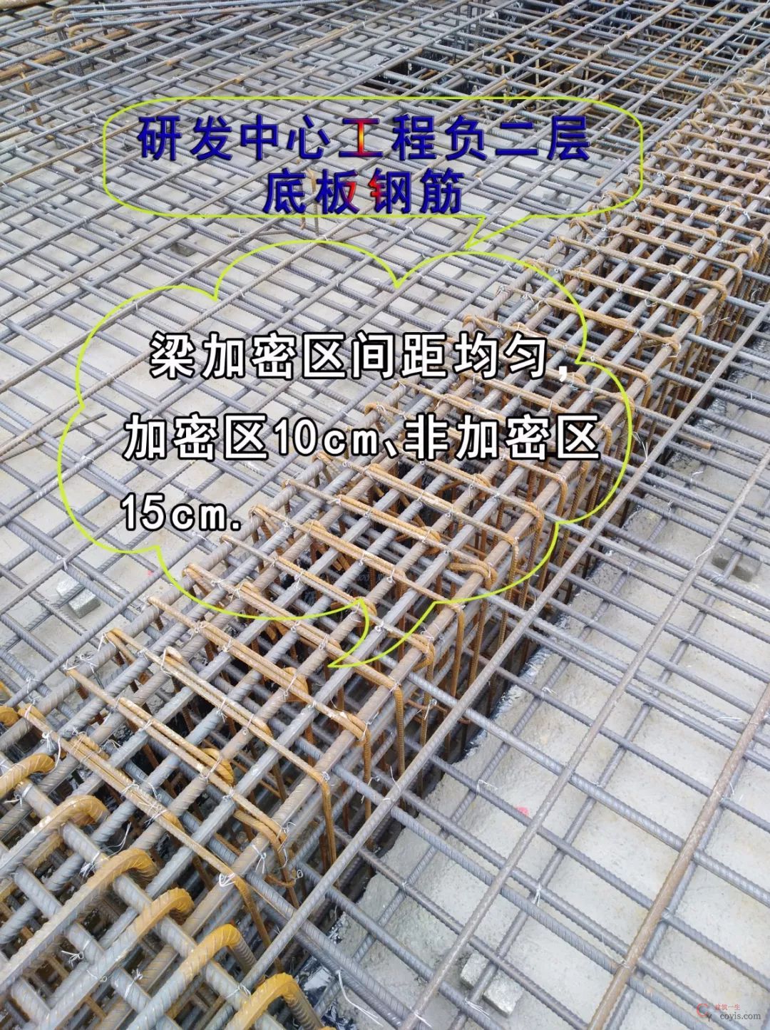 地下室底板钢筋绑扎实体