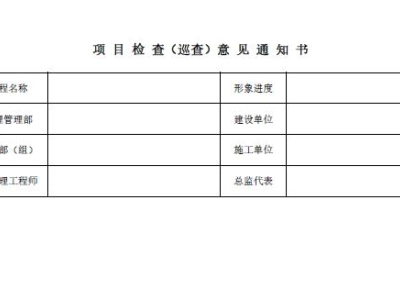 项目检查（巡查）意见通知书丨表格