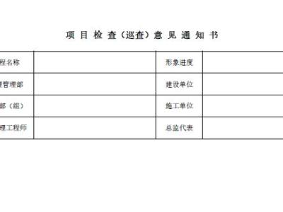 项目检查(巡查)意见通知书丨表格