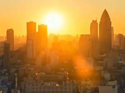 政府也没能挽救金科