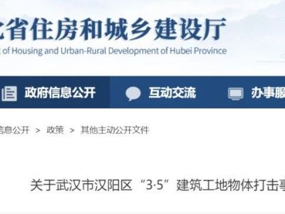 塔吊吊运钢管坠落致2人被砸身亡