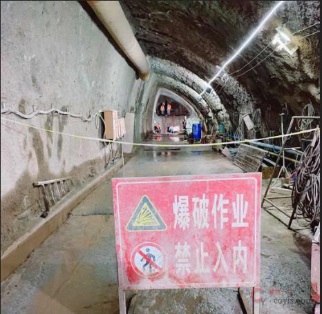 【正确】防护、监测、警戒