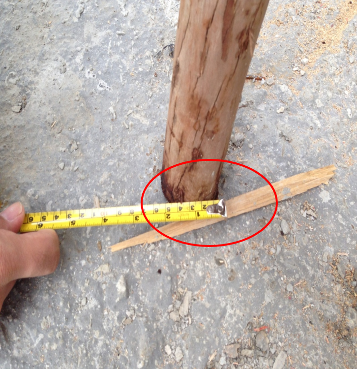 其他:外架拉结不规范、木立杆尾径不足8CM。