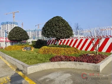 绿化种植