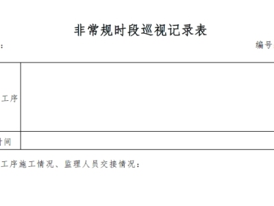 监理单位非常规时段巡视记录表